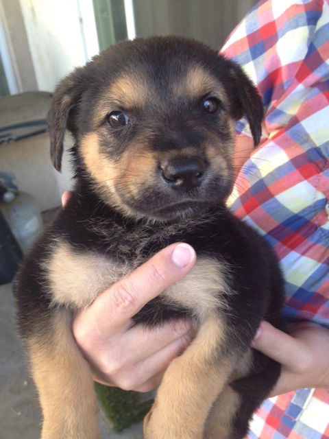 Axle