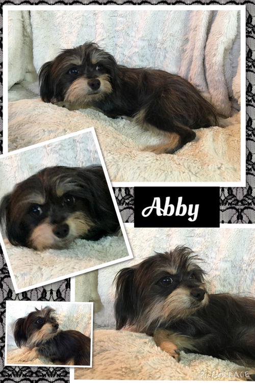 Abby