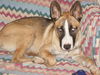 Lily Mae