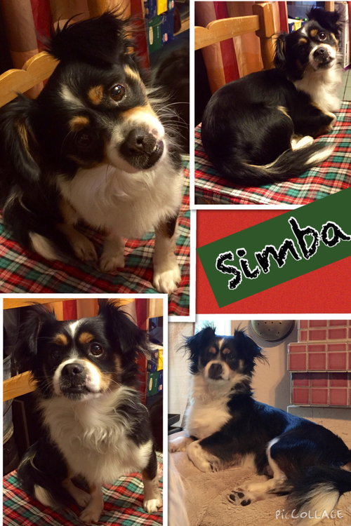 Simba
