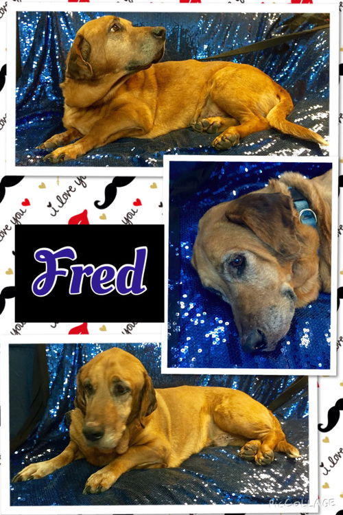 Fred