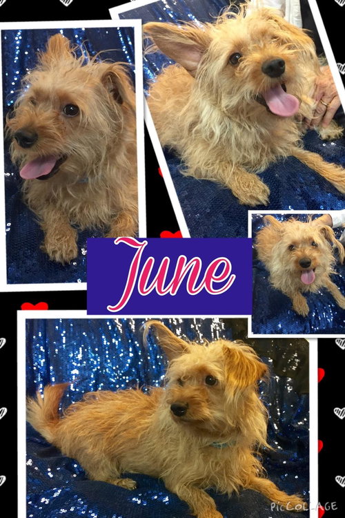 June