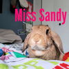 Sandy (bonded to Chip)