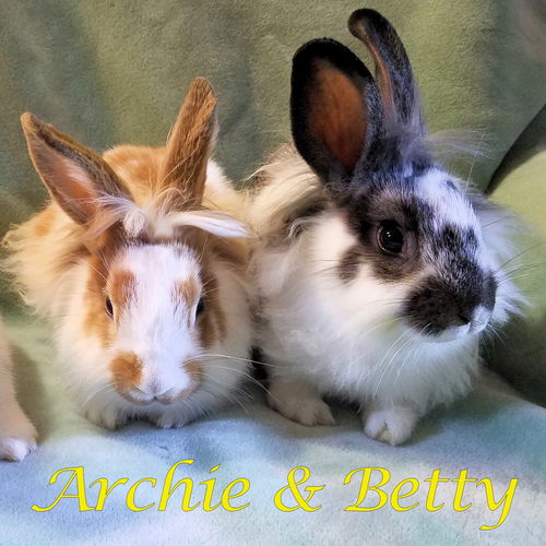 Archie (bonded to Betty)