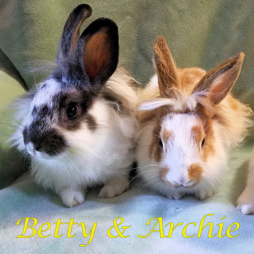 Betty (bonded to Archie)