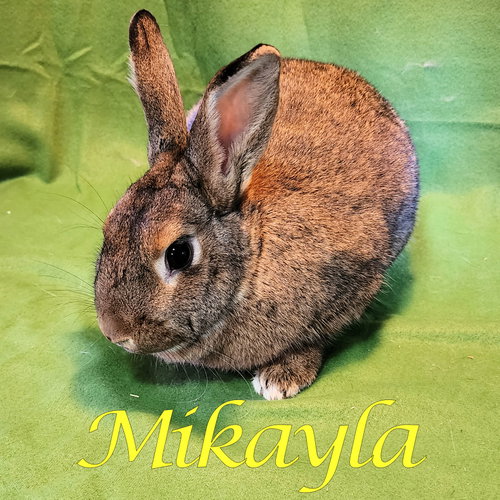 Mikayla