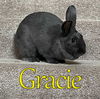 Gracie