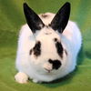 Louise (bonded to Thelma)