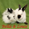 Bella (bonded to Louie)