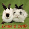 Louie (bonded to Bella)