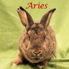 Aries