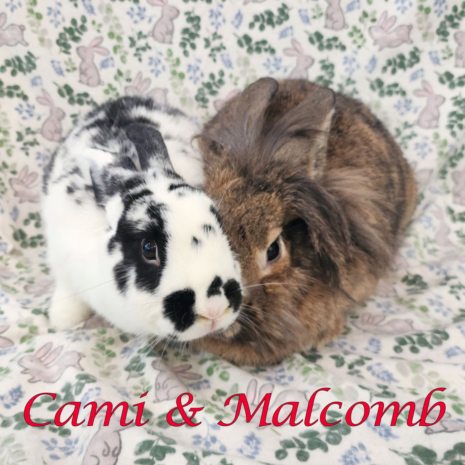 Cami (bonded to Malcolm)