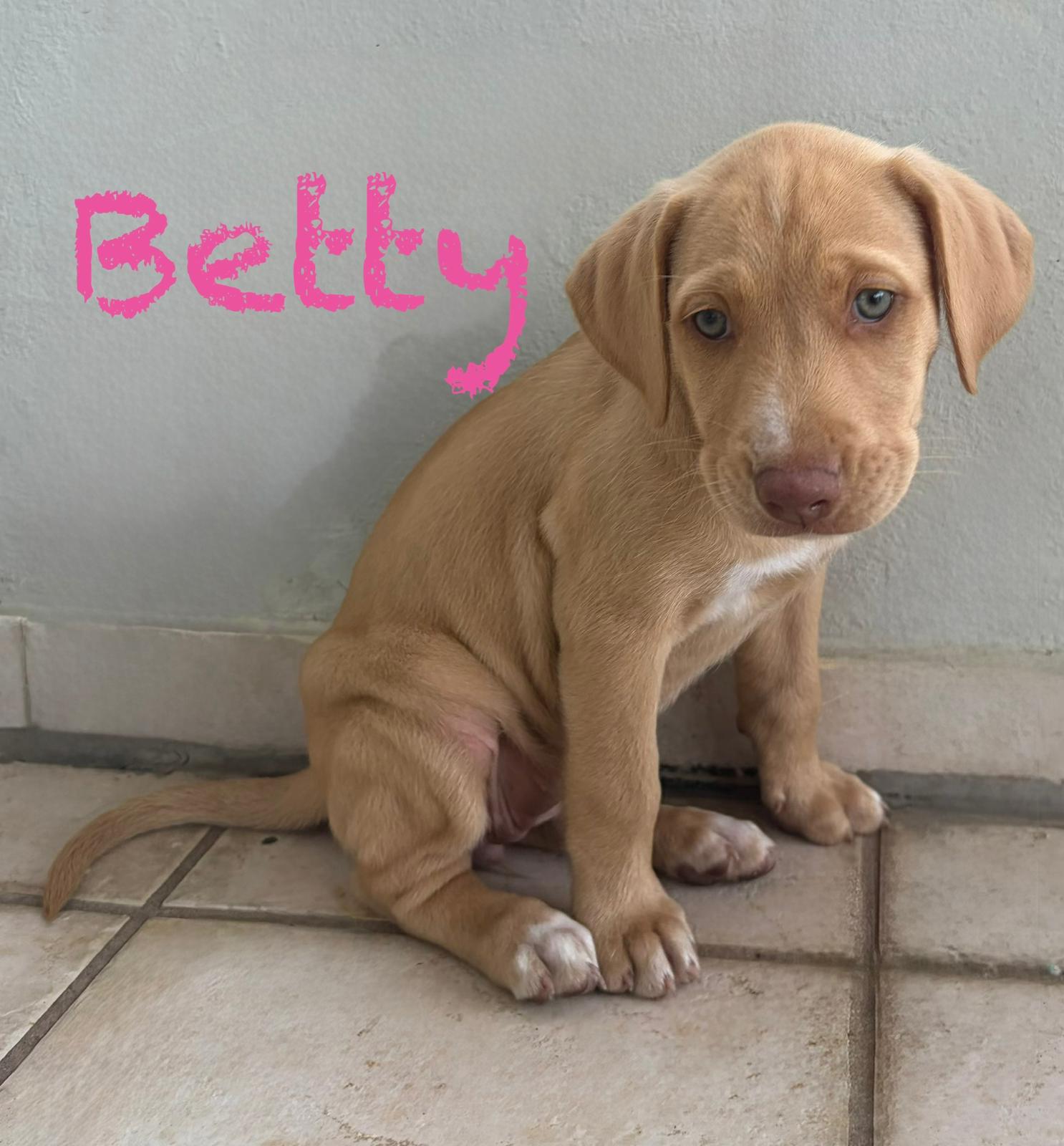 Betty