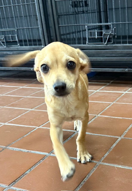 Marco
