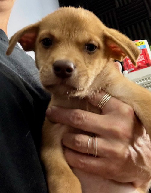 Oakley