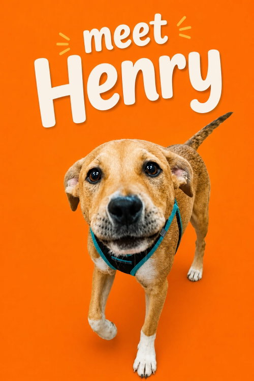 Henry