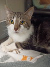 Loki - Photo 2