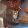 Daisy - Photo 2