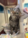 Deloris - Photo 2