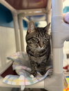 Deloris - Photo 3