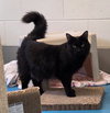 Salem - Photo 1