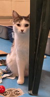 Walter - Photo 1