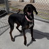 Maggie - Photo 2