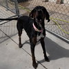 Maggie - Photo 3