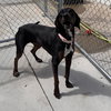 Maggie - Photo 4