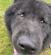 Rex - Photo 4