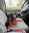 Minzey - Photo 2