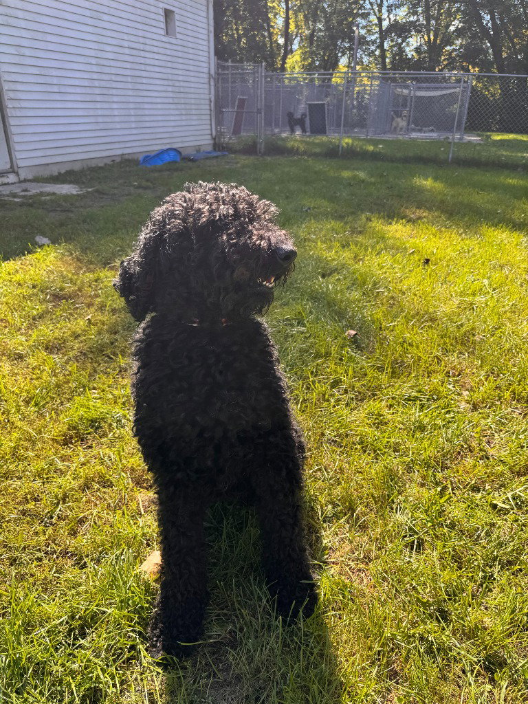 Jackson, photo 3