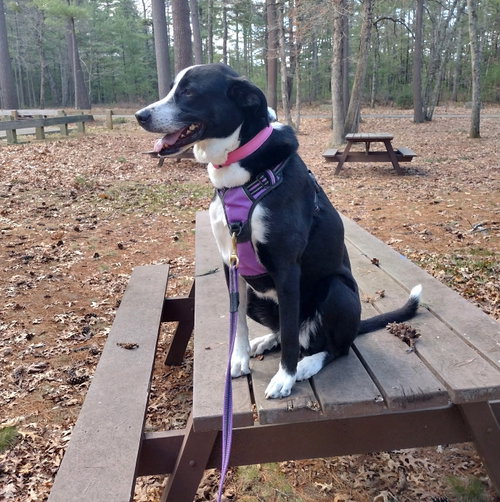 Photo 3 of Sophie Pepper