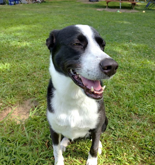Photo 4 of Sophie Pepper
