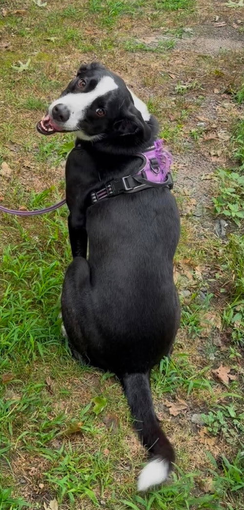 Photo 2 of Sophie Pepper