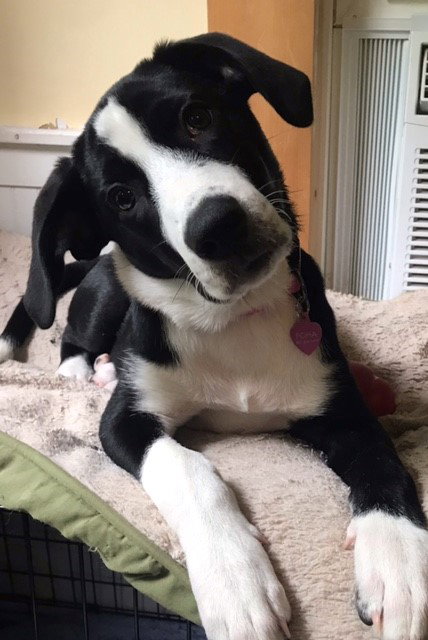 Photo 5 of Sophie Pepper