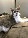 Millie C Hill - Photo 1