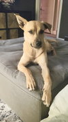 Layne Louise - Photo 11