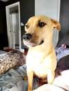Layne Louise - Photo 9