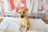 Layne Louise - Photo 8