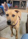 Layne Louise - Photo 6