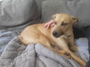 Layne Louise - Photo 15