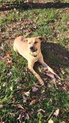 Layne Louise - Photo 13