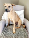 Layne Louise - Photo 12