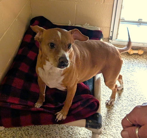 Louie (aka Dre) Bolster — thumbnail 8