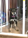 Dot Clarke aka Dip and Dot - Photo 5