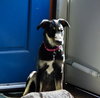 Dot Clarke aka Dip and Dot - Photo 8