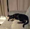 Dot Clarke aka Dip and Dot - Photo 6