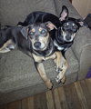 Dot Clarke aka Dip and Dot - Photo 3