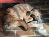 Lucinda Gatlin - Photo 5